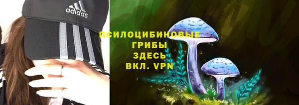 дмт Алексеевка