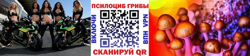 Галлюциногенные грибы Psilocybe  мега ССЫЛКА  Дегтярск  где купить наркоту 