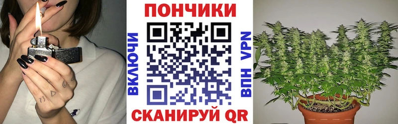 продажа наркотиков Дегтярск гидра tor Шишки марихуана семена